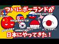 【歴史も解説】ついにポーランドが来日！　#ポーランドボール