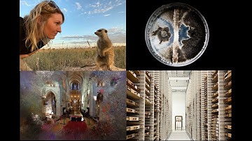 Get your cameras! The 2024 SNSF Scientific Image Competition is launched!