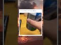 叫べない家だから毎日コレwwwww#おもしろ #面白い #twitter #tiktok #2ch #5ch