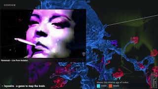 Hamatsuki -- Fine Lines 2018 - Live From Isolation 2020