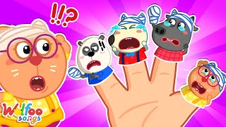 Ouch! Babies Got Hurt 😭 Boo Boo Finger Song 🎶 Wolfoo Nursery Rhymes \& Kids Songs