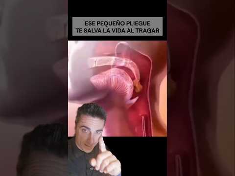 Ese pequeño pliegue de tejido te salva la vida.#supervivencia #curiosidades #sabiasque