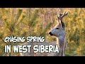 Chasing Spring in West Siberia