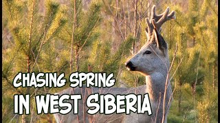 Chasing Spring in West Siberia