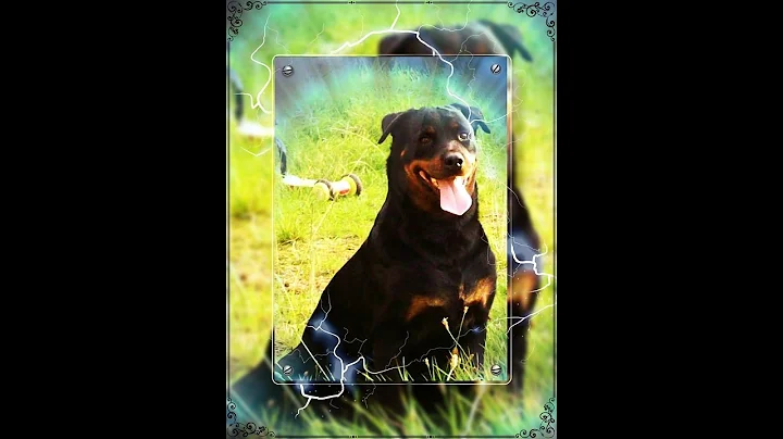 Xena Love