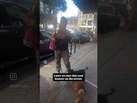 Visiting Melynda At Quirk And Exploring Los Angeles Little Tokyo