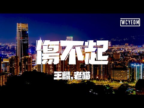 王麟,老猫 - 伤不起「伤不起真的伤不起 我想你想你想你想到昏天黑地」【動態歌詞/pīn yīn gē cí】