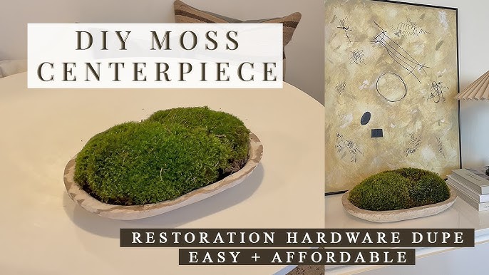 DIY RH INSPIRED MOSS BOWL  Moss decor, Moss centerpieces, Moss