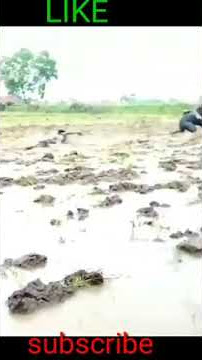 SALAM DARI MAJALENGKA VIRAL #shorts