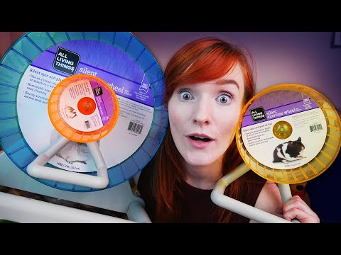 PetSmarts 'New' Hamster