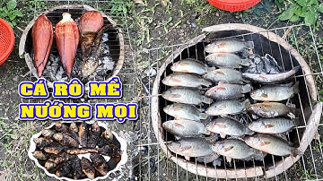 Bắt Cá Rô Mề Nướng Mọi Sau Buổi Thăm Lú Ngoài Đồng P.3/Ẩm Thực Miền Tây/NGÃ NĂM TV