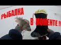 УДОЧКА ТРЕЩАЛА ОТ ТАКИХ РЫБИН!!! 15 ЛУННЫЙ ДЕНЬ/ РЫБАЛКА В МОМЕНТЕ!!!