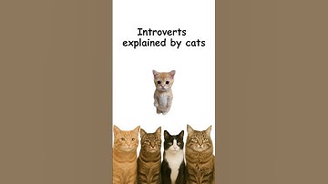 Introverts explained by cats #catvideos #introvert #catanimation