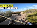 Riding an amazing hidden gem idyllwild trails  mtb vlog 033