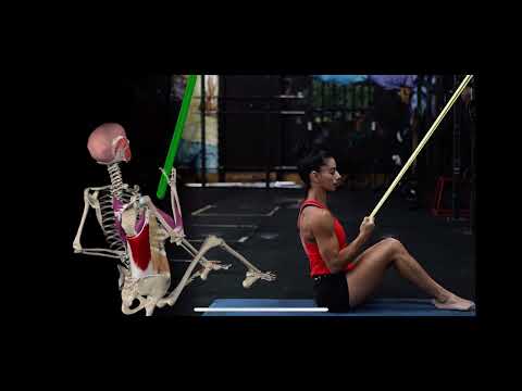 Single Arm Lattissimus Pulldowns (Resistance band)