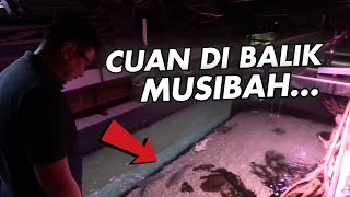 NEKAT MASUKIN IKAN KE MEGATANK by Giovandi Suhendi 70,845 views 8 months ago 7 minutes, 45 seconds