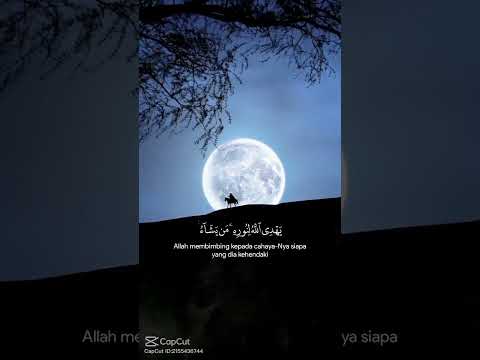 نور على نور القران اهرب ايها الكافر