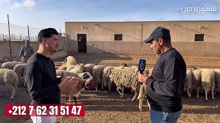     اختار أضحية العيد ديالك من عند مزرعة عبد الرحيم بثقة وجودة
