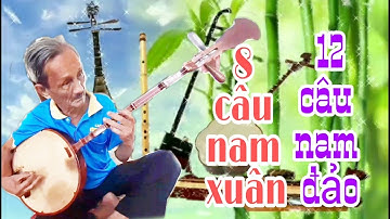 Cụ Ông 81 tuổi đàn kìm độc tấu 8 CÂU NAM XUÂN, 12 CÂU NAM ĐẢO mùi quá