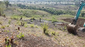 Được mùa mất giá là nỗi lo của người nông dân