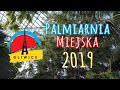 Palmiarnia Gliwice | PARK CHOPINA | Atrakcje Październik 2019 | 4K |
