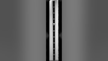 Slow motion acceleration of gravity trial 5 at 4000 frames per second