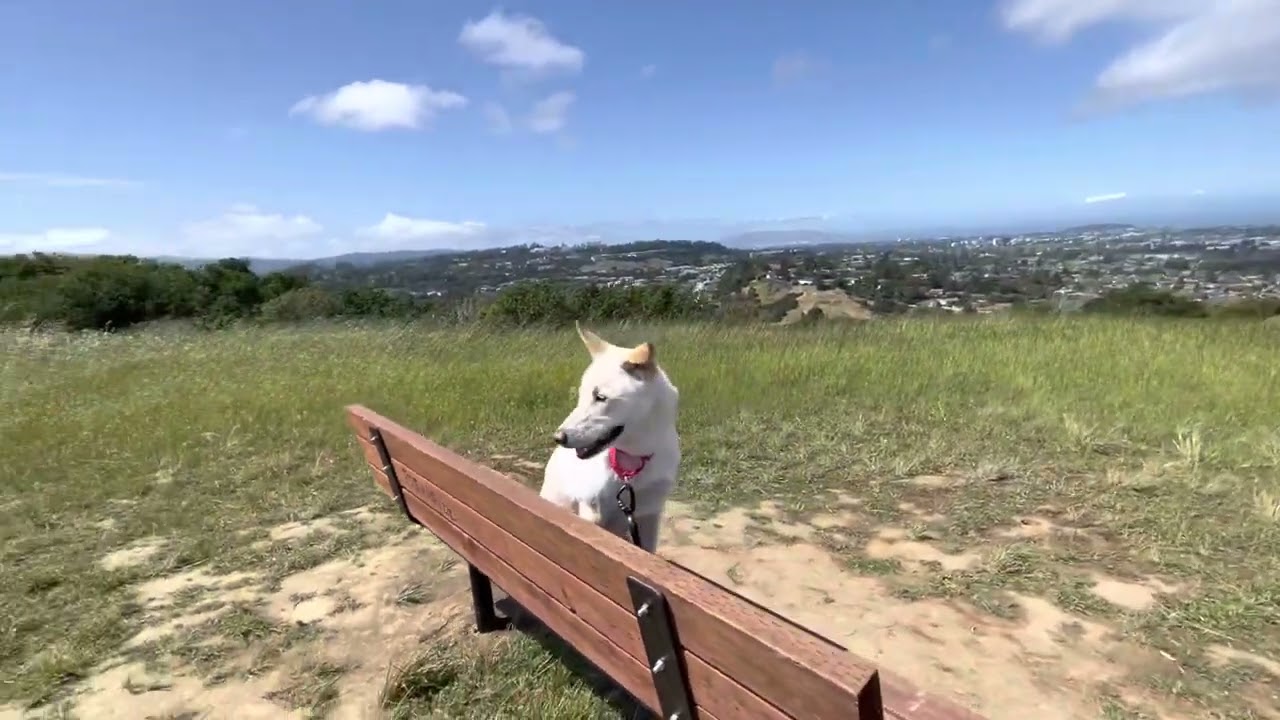 Laurelwood Park Summit