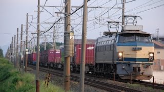EF66-21ゼロロク＋コキ16B〈5099レ〉　相見～岡崎