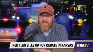 The Idiocy of Red-Flag Laws Cannot Be Overstated