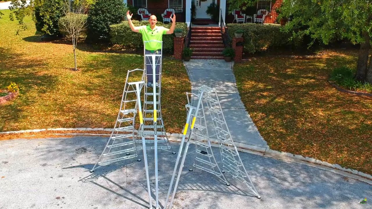 Hasegawa ladders deals