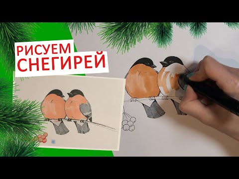 КАК НАРИСОВАТЬ НОВОГОДНЮЮ ОТКРЫТКУ СО СНЕГИРЯМИ (рисуем по схеме)