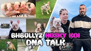 The Truth Behind The Husky/Koi French Bulldogs🤯 BH Bullyz Frenchie Talk: