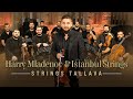 Harry mladenov  strings tallava official