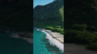 Why Nature is Soothing for the Eyes (and the Soul)