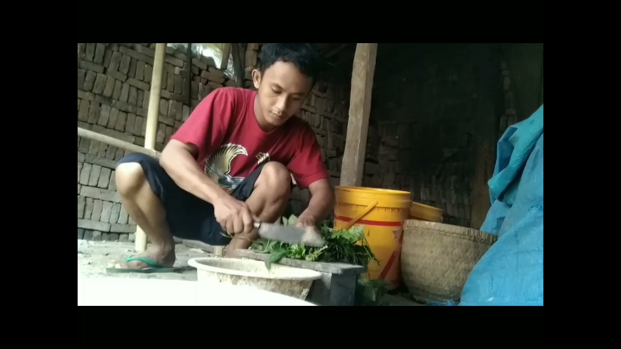 Analisa ternak entok 