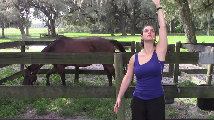 Healing of Non-Sweating Horse: Immediate Results