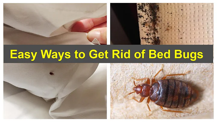 Easy Ways to Get Rid of Bed Bugs