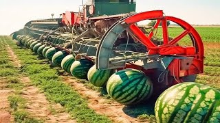 Farmers Use Agricultural Machines You Have Never Seen Before.