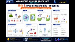 IGCSE Biology Unit 1 Organisms and Life Processes | Complete Revision Guide IGCSE Biology Unit 1 Organisms and Life Processes | Complete Revision Guide