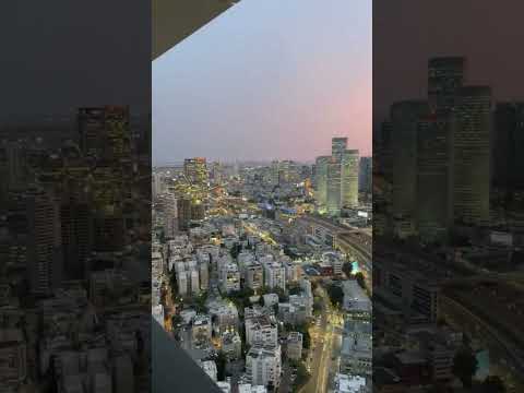 فلسطين المحتلة يافا 