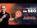 SEO разбор вашего сайта - Академия SEO (Павел Шульга)