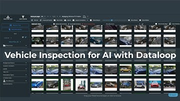 Building Vehicle Inspection AI?