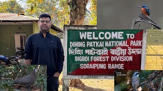 Download Lagu Best of India' Dehing Patkai National Park. #indiatravel #nationalparks MP3