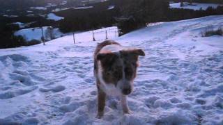 Just some fun at snow late in the evening by Aiko Aussie 359 views 13 years ago 31 seconds