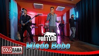 Video thumbnail of "PANTERA - MIEDO BOBO (Juliano Tchula-Maraisa-Vinicius Poeta-Pepato-Neto)"