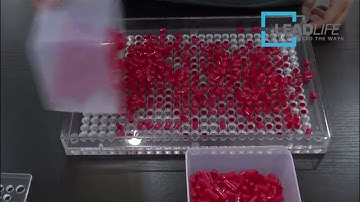 How To Use LEADLIFE " THE HONEY BADGER " 400 Hole Capsule Filling Machine Capsule Filler Acrylic