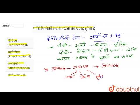 वीडियो: पारिस्थितिक तंत्र में खाद्य ऊर्जा का मार्ग क्या दर्शाता है?