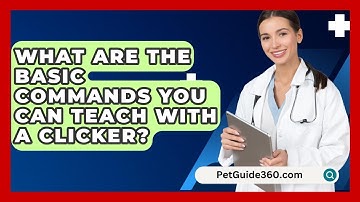 What Are The Basic Commands You Can Teach With A Clicker? - PetGuide360.com