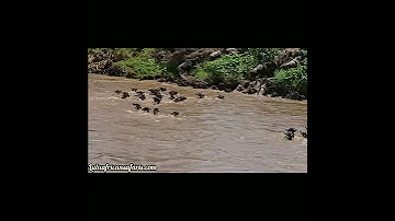 Tunatengeneza Matangazo Ya Kampuni Na Biashara Video Na Audio Pia Tunarusha Matangazo Mtandaoni 