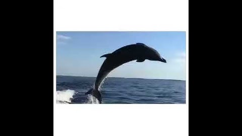 ما تيسّر من سورة النساء  بصوت القارئ | مؤيد المزين.